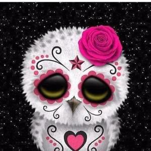 Meet your Posher, Rhonda